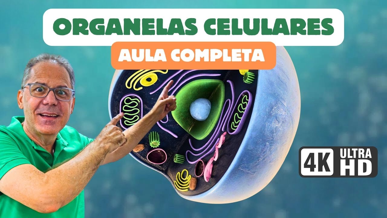 Organelas Celulares : Estrutura celular e citoplasma | CiênciaTraduzida com Professor Hilton