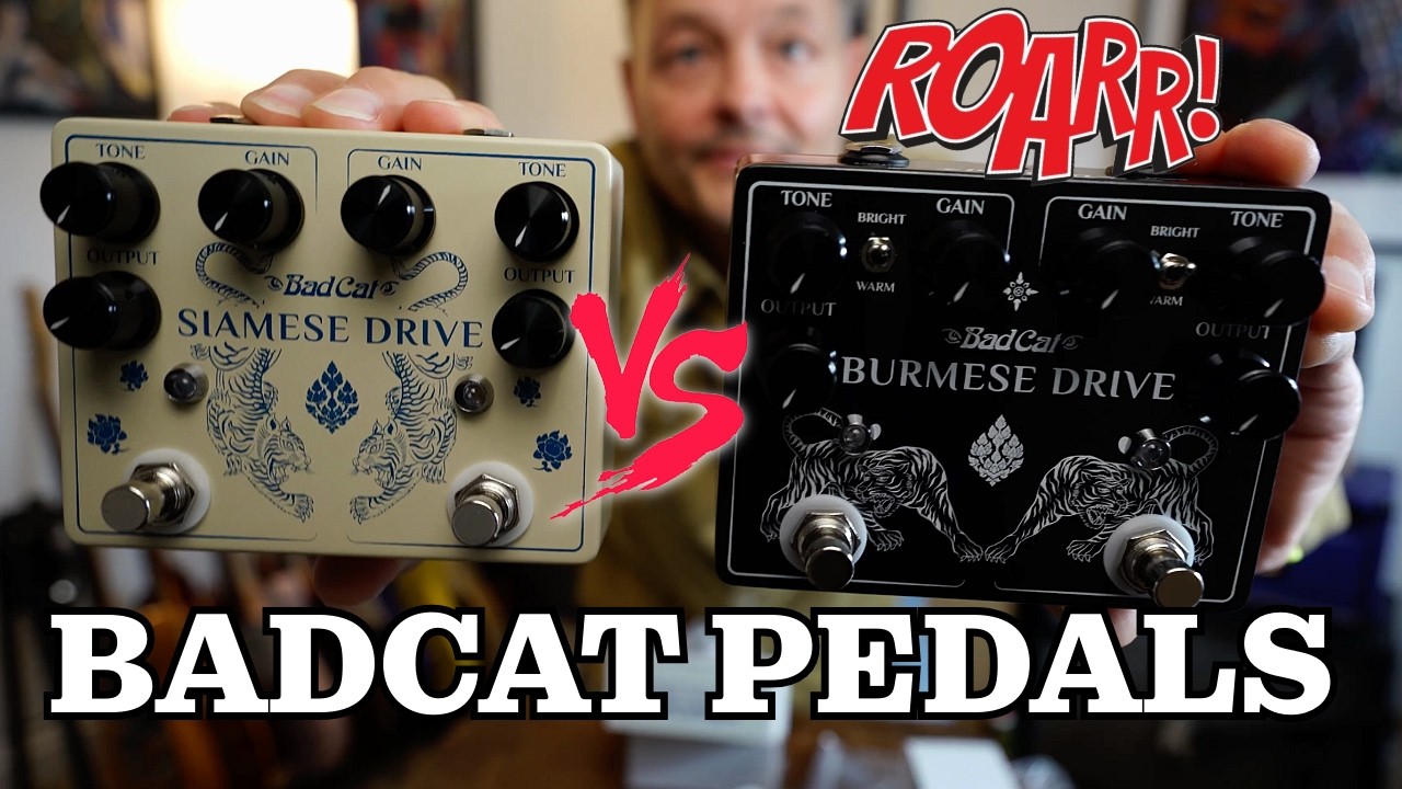 Hear The Roar! - BadCat Siamese VS Burmese Overdrives