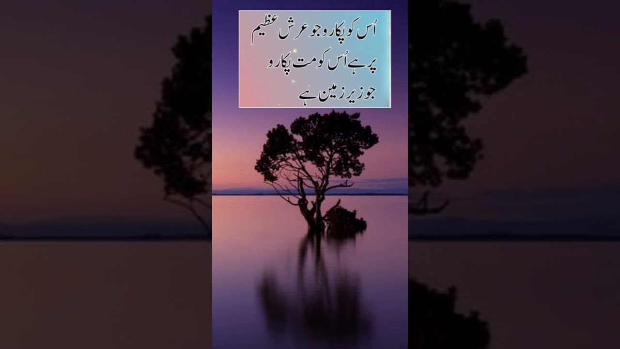 Best Islamic Quotes about ALLAH and His Mercy| Islamic Quotes about ALLAH| Islamic Quotes| Islamic