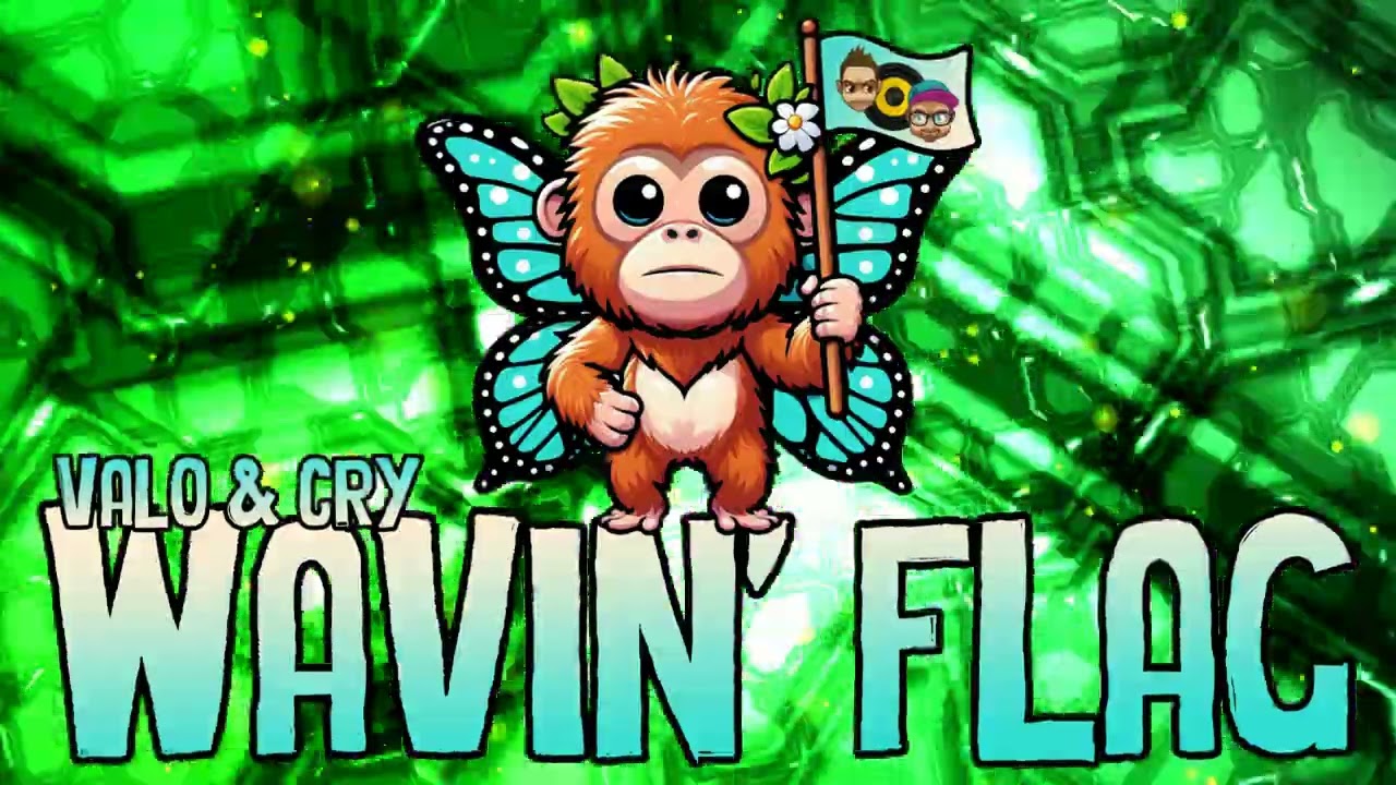 WAVIN' FLAG - VALO & CRY rmx