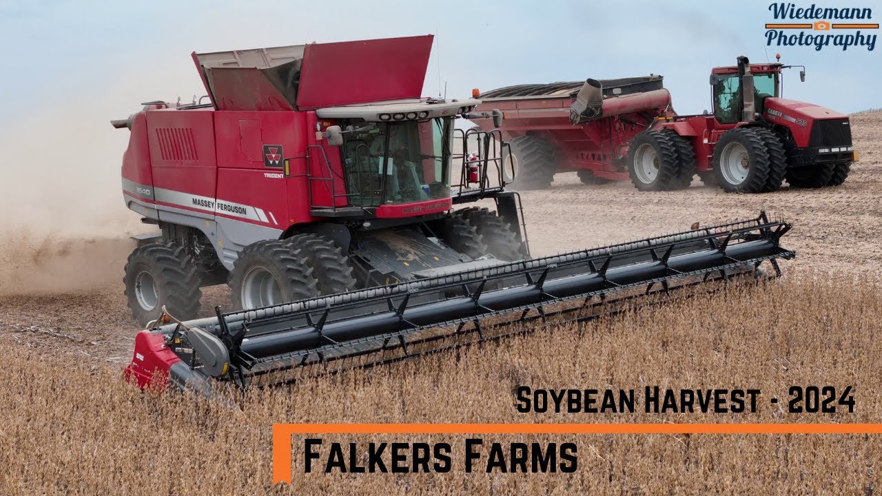 Falkers Farms Soybean Harvest 2024