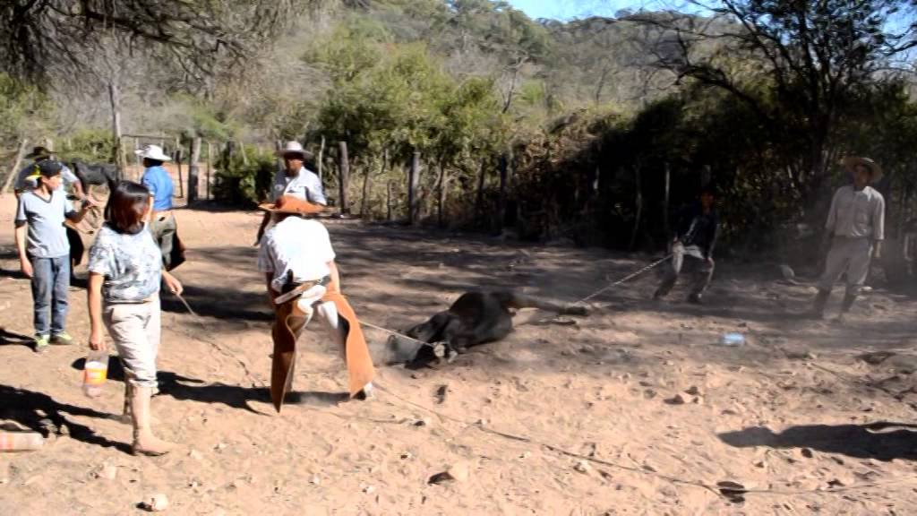 YERRA 2014 GALLO HUANCA COMPLETO