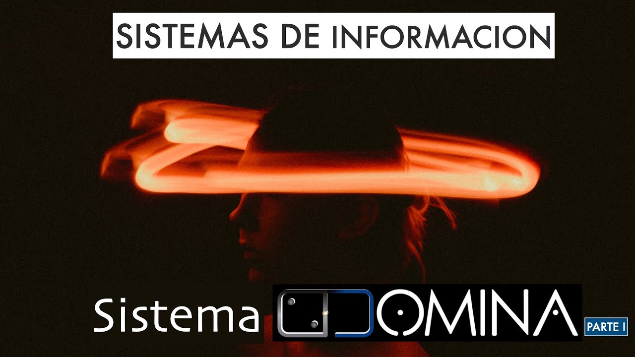 El Sistema DOMINA (Parte I)