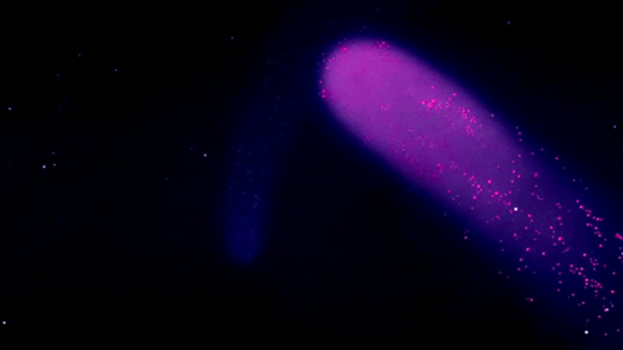 lil uzi vert - bust me (slowed + reverb)