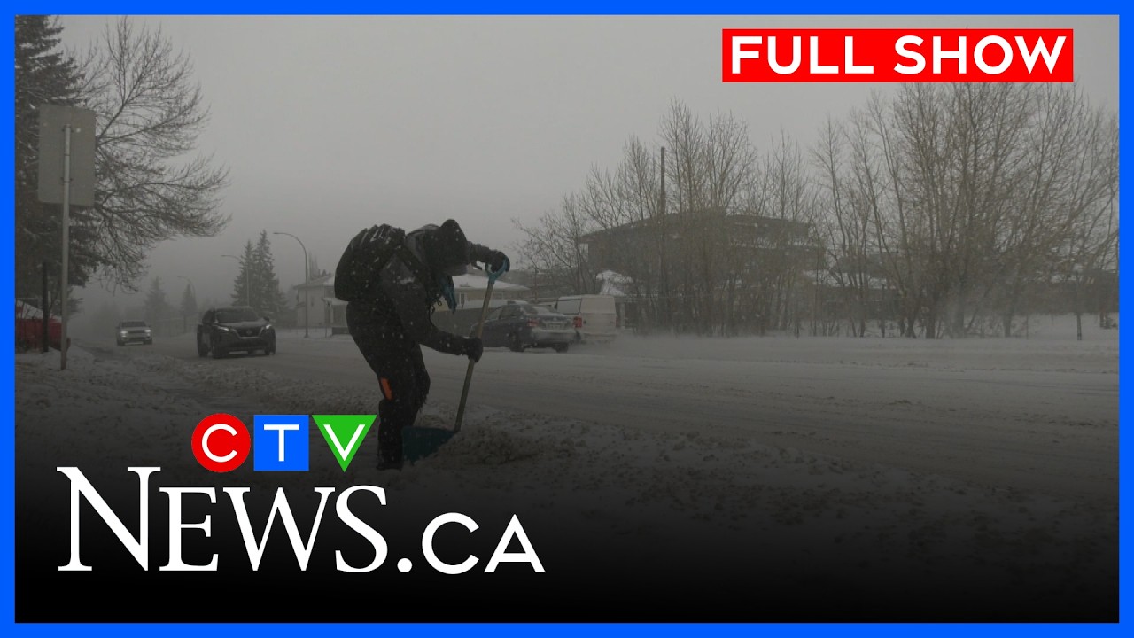 Calgary digging out from latest storm | CTV News Calgary at 11:30 for Feb. 17, 2026