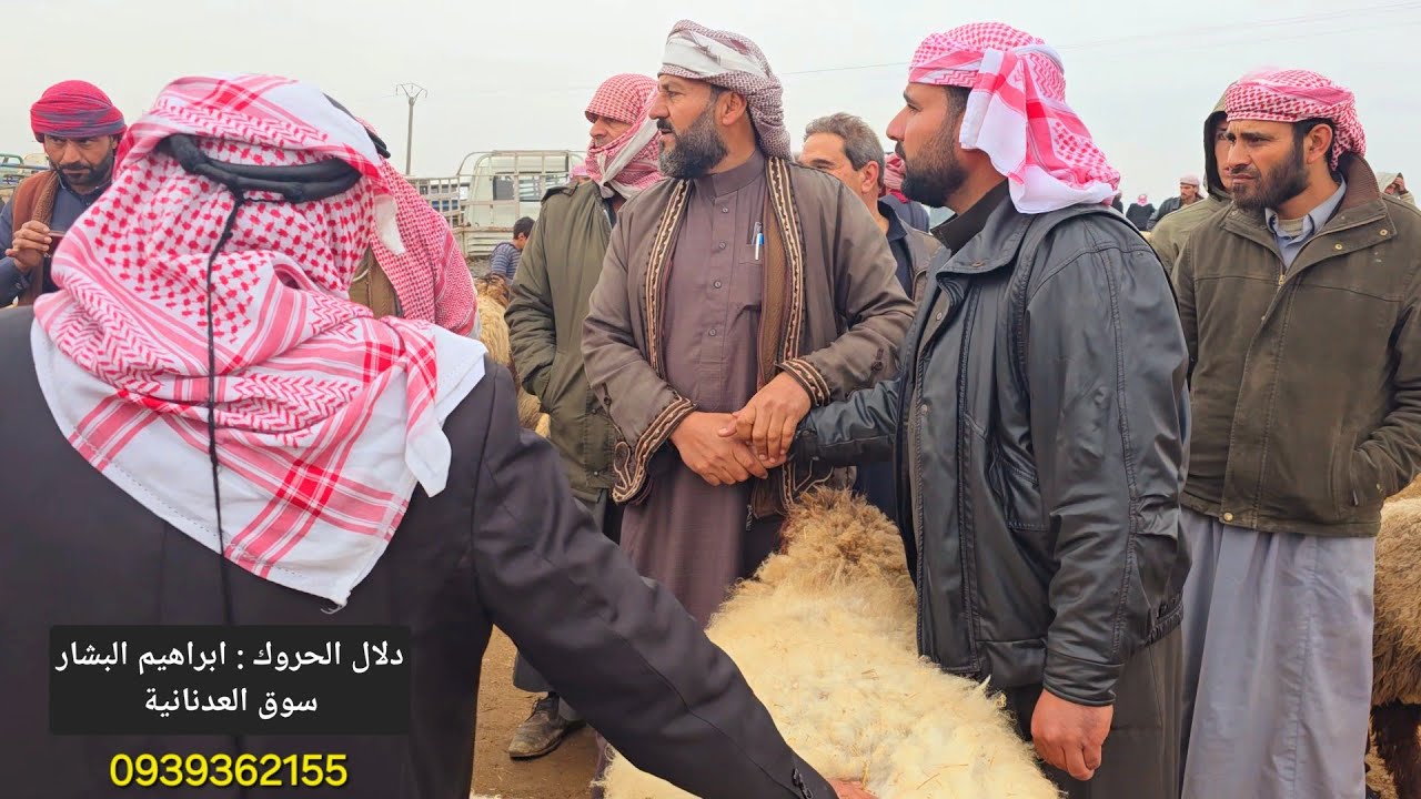 #أسواق الرقة بيزار مزرعة العدنانية 22\2\2024 يوم الخميس فرصة للشراء  (إبراهيم البشار]