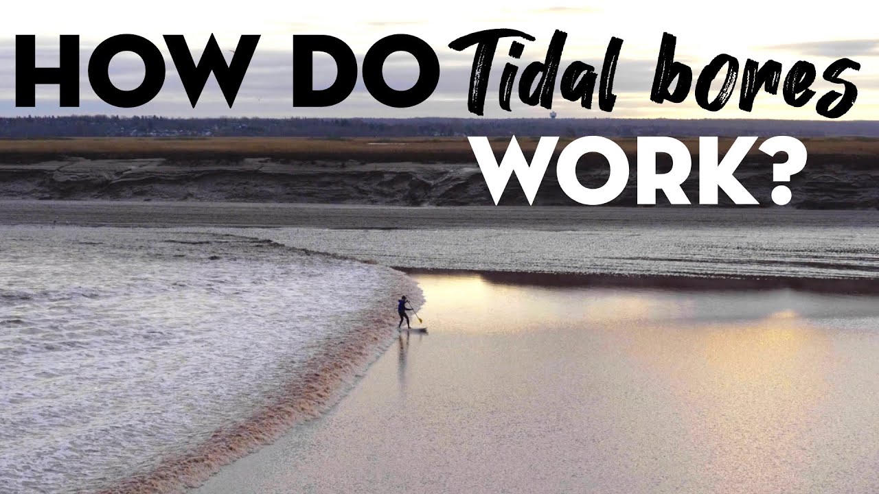 Как работают приливные волны?