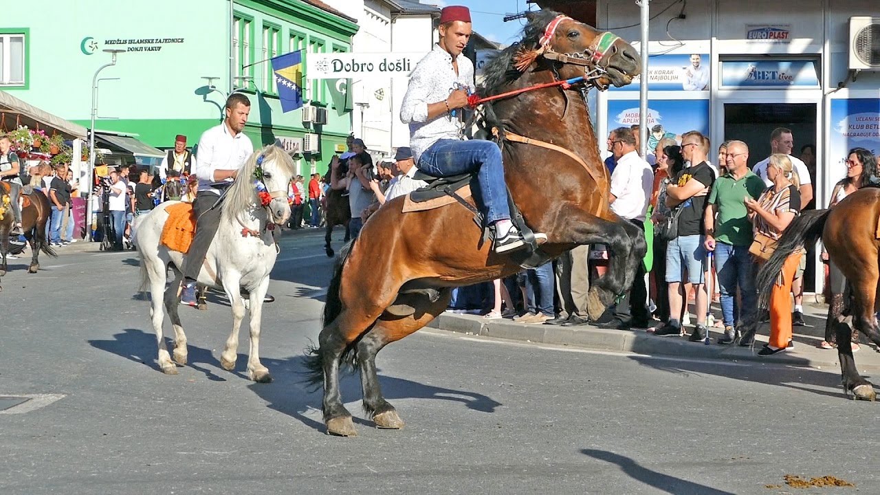 Jako lijepi i atraktivni konji na defileu u Donjem Vakufu, Ajvatovica 2022.