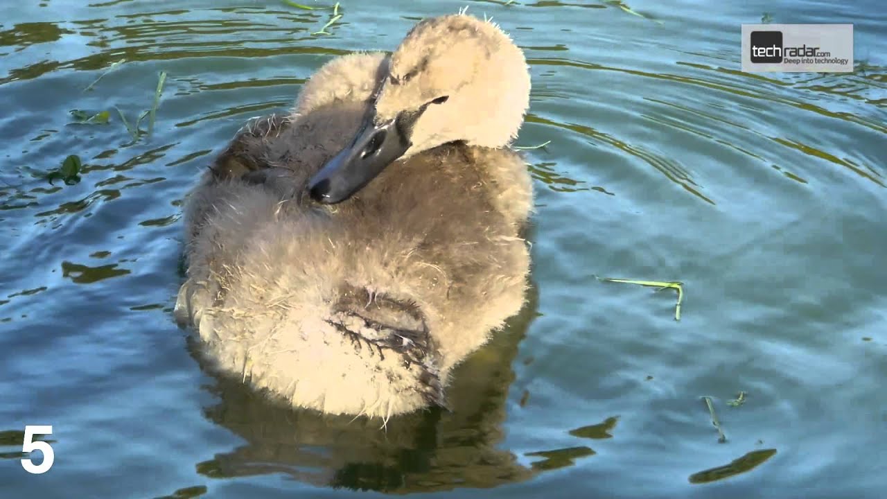 Panasonic Lumix DMC-GH2 video quality
