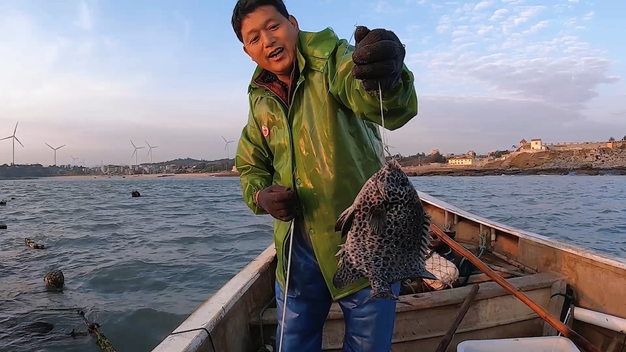 阿阳带老粉丝出海放鲈鱼钓，没想到抓到&ldquo;豹纹鱼&rdquo;，真是奇了怪了