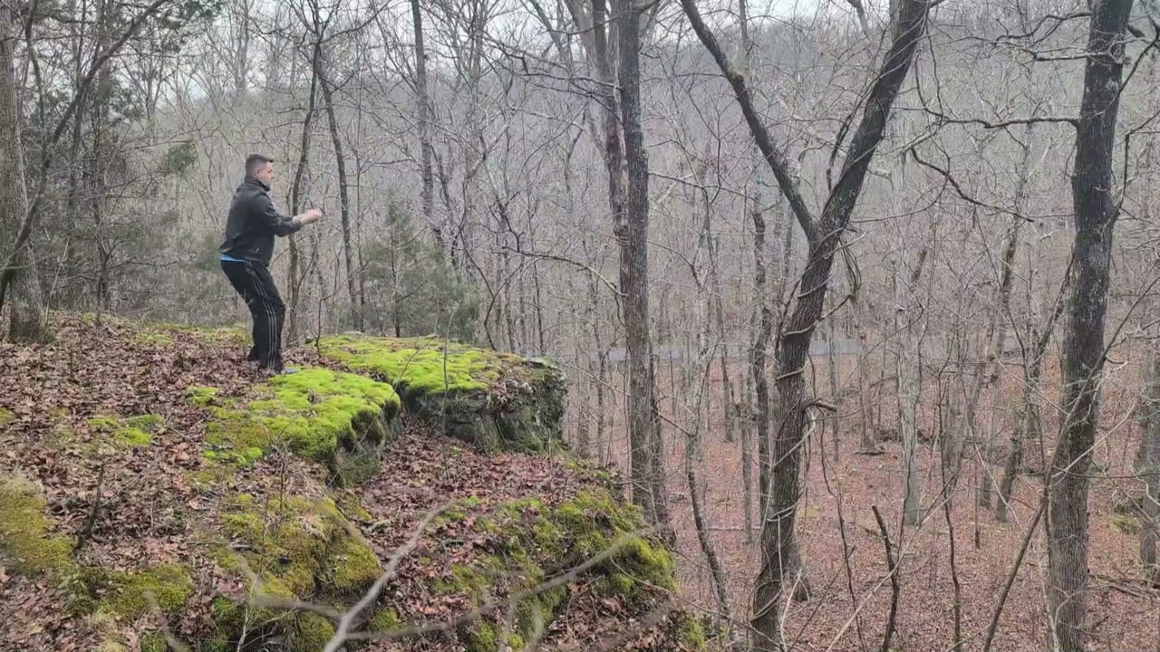 Wuji Gathering Qigong Near The High Bright Green Moss
