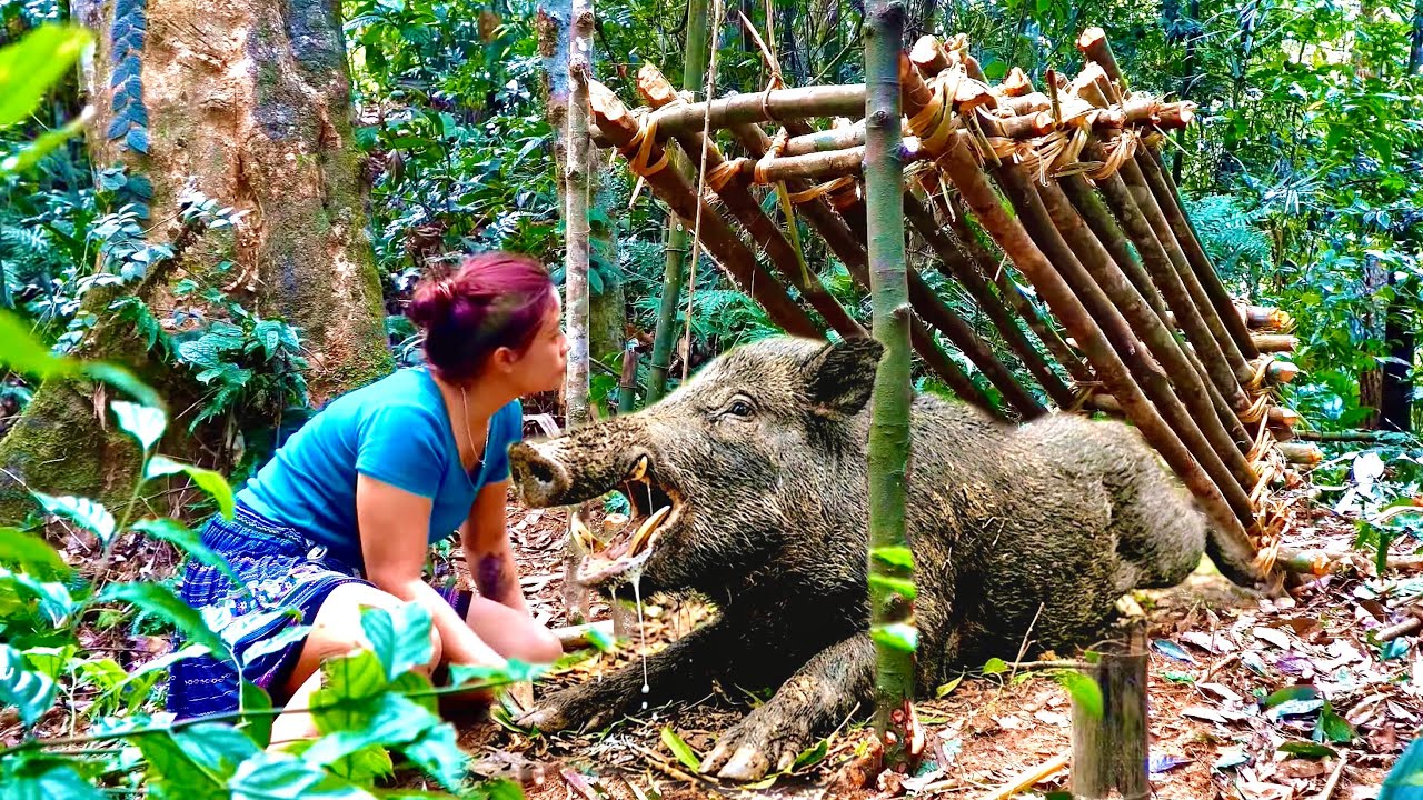 A BATTLE OF WITS LASTING 30 DAYS: CAN THE WILD BOAR OVERCOME THE YOUNG GIRL'S SURVIVAL SKILLS?