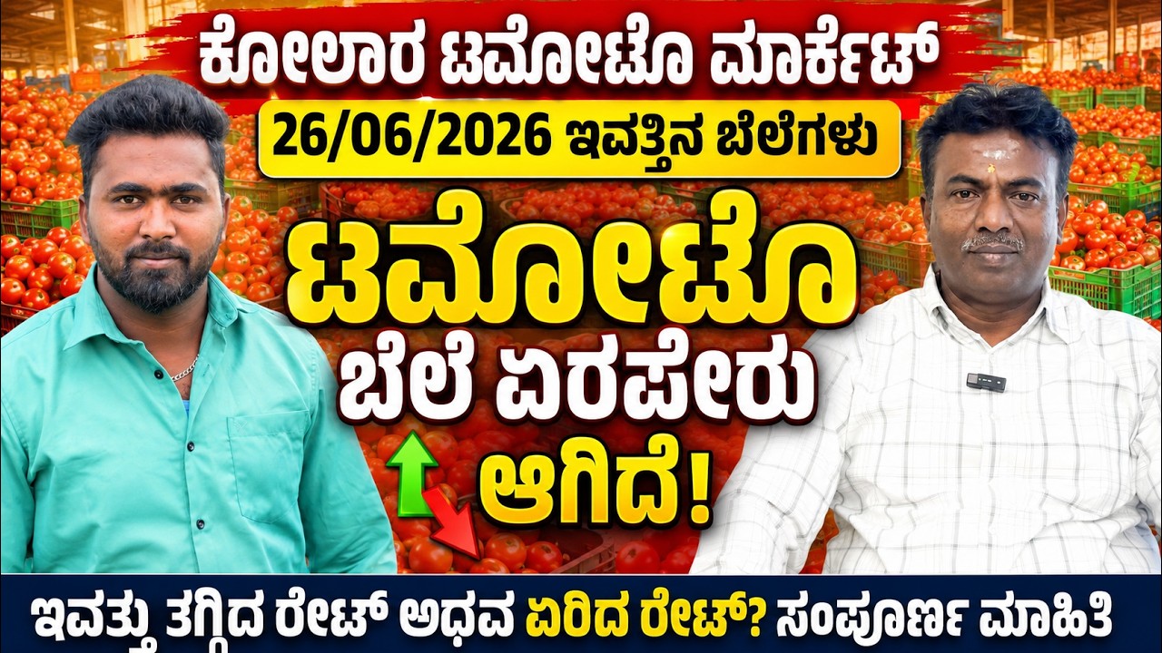 || Kolar  today tomato rate  26/06/2026 || ಕೋಲಾರ ಟಮೋಟ ಮಾರ್ಕೆಟ್ ಇವತ್ತಿನ ರೇಟ್ ಎಷ್ಟುಗೊತ್ತಾ.? 💛❤️
