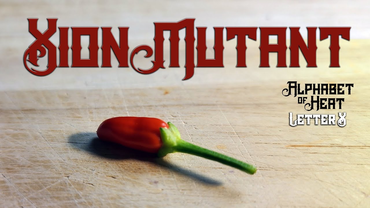 Let's Get WEIRD!!! - Xion Mutant Pepper Review- Alphabet of Heat - X