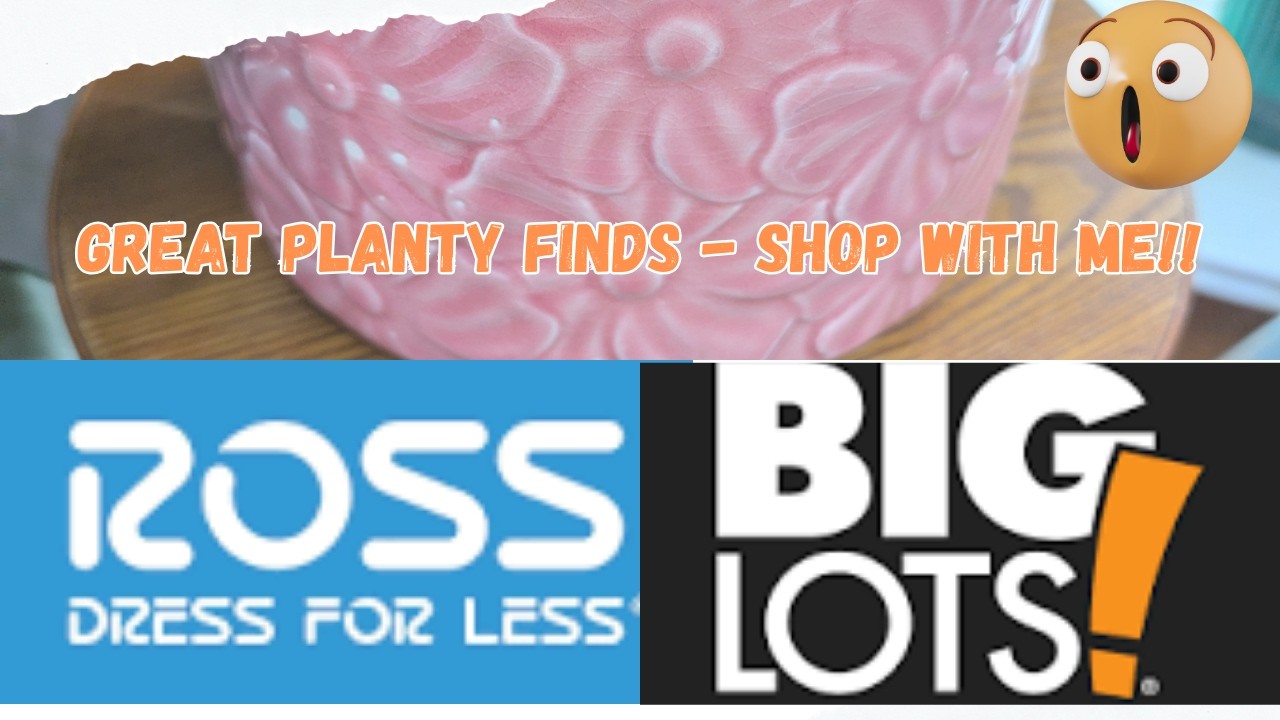 Находки среди комнатных растений — покупки в Big Lots и Ross!! #растения #шоппинг #комнатныерасте...