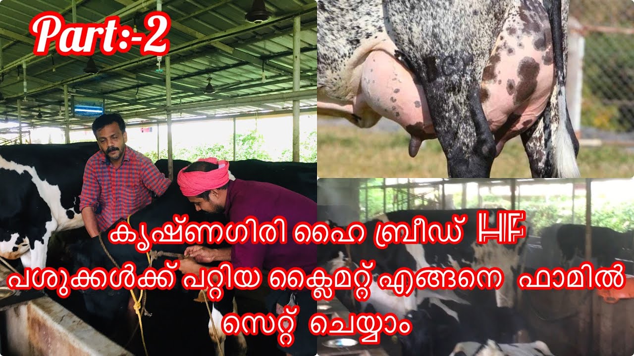 എയർ കണ്ടീഷൻ സെറ്റ് ചെയ്ത് ഫാമോ |HighTech Dairy Farm |സന്തോഷ് ഏട്ടന്റെ സ്വർഗ്ഗ രാജ്യം |Part:-2