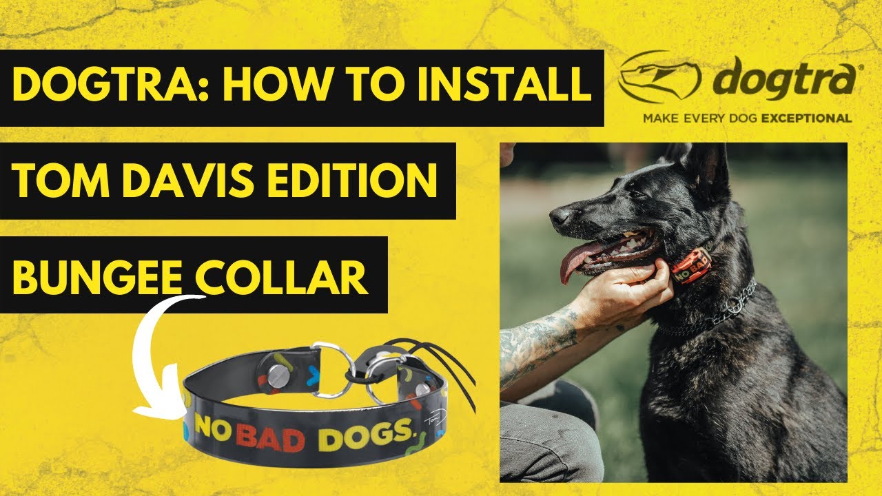 Tom Davis Bungee Collar Installation