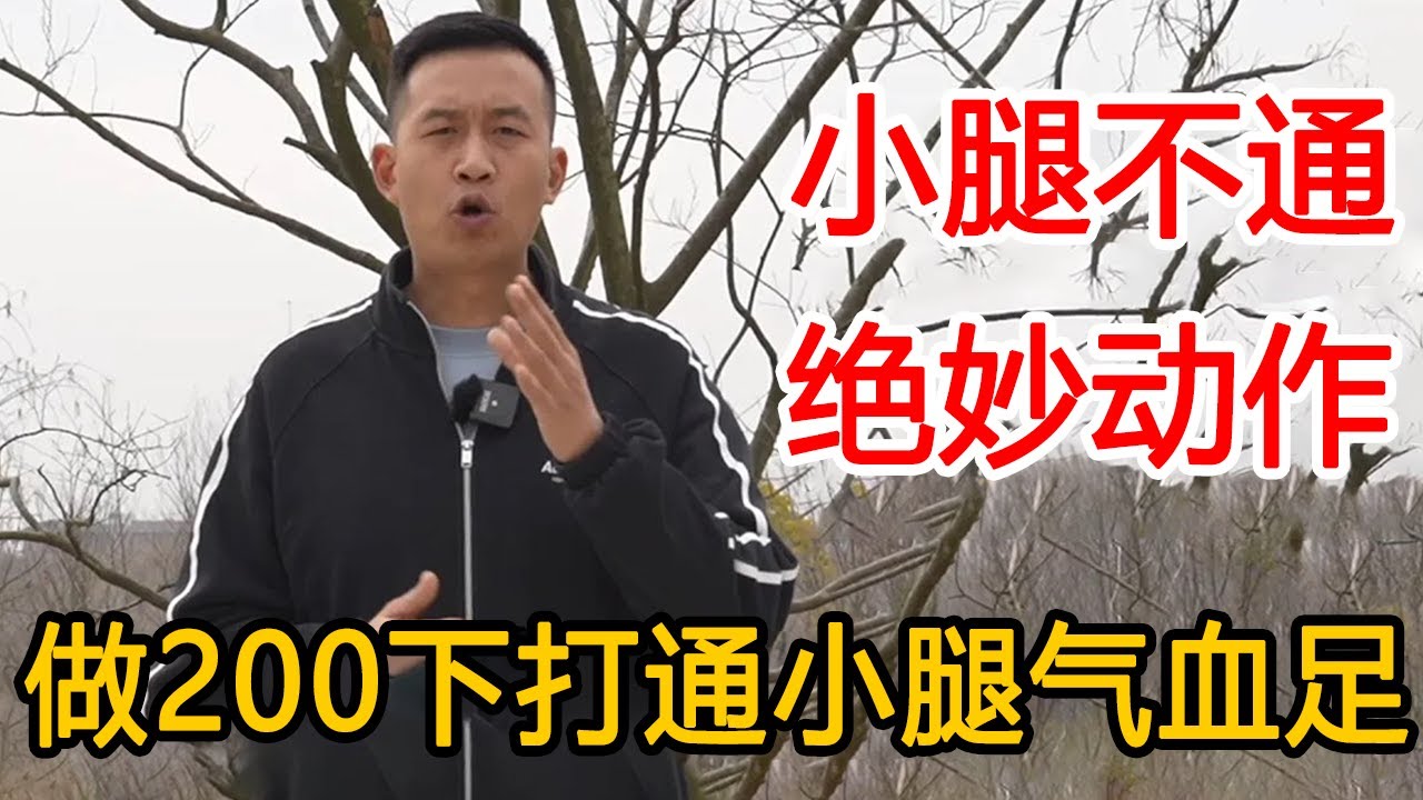 小腿不通，循坏不好？找到小腿上的原始点，每天200下，打通小腿气血足！【人体百科David伟】