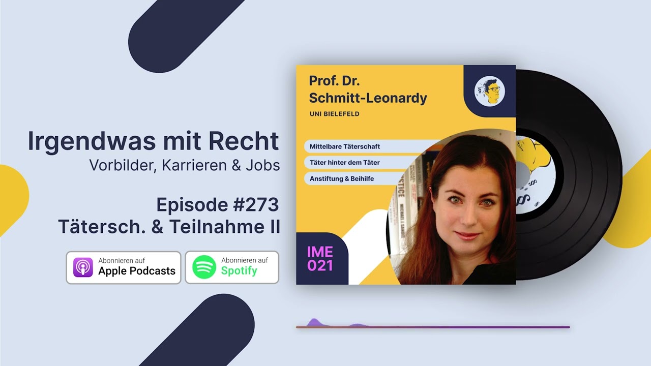 Täterschaft und Teilname - Teil 2 | Interview Prof. Schmitt-Leonardy | IMR #273