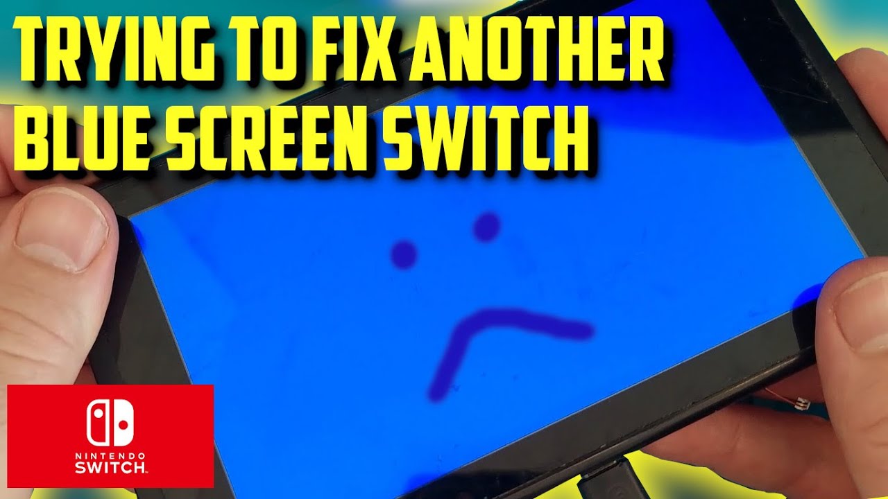 Another Blue screen of death Nintendo Switch bought from ebay