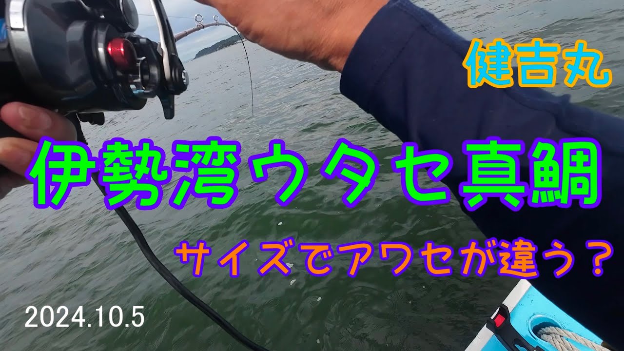【伊勢湾】ウタセ真鯛  サイズでアワセが違う？2024 10 5