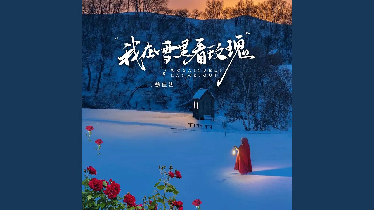 我在雪里看玫瑰 (DJ京仔版)