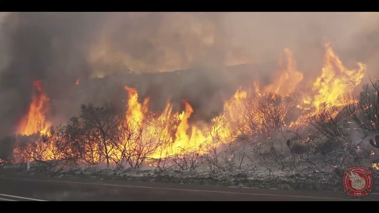 🎬Battling the Flames: Stories in Video 🎬 Tokai | 27.04.2025