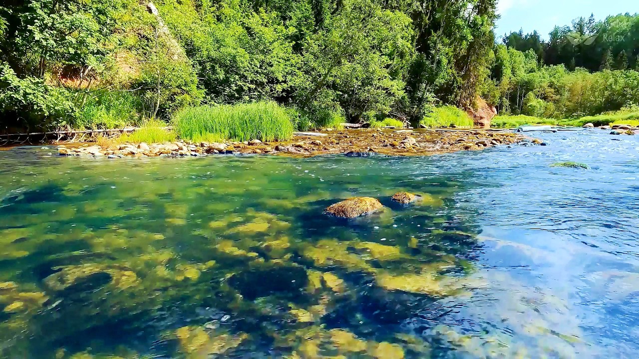 10 Hours of Gentle River Sounds 🌊 Soft White Noise for Deep Sleep & Calm