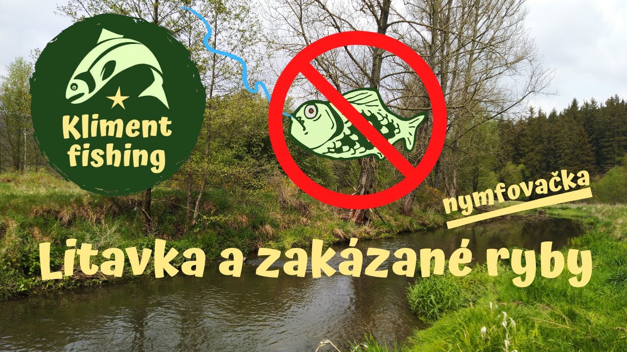 Nymfování na pstruhové Litavce