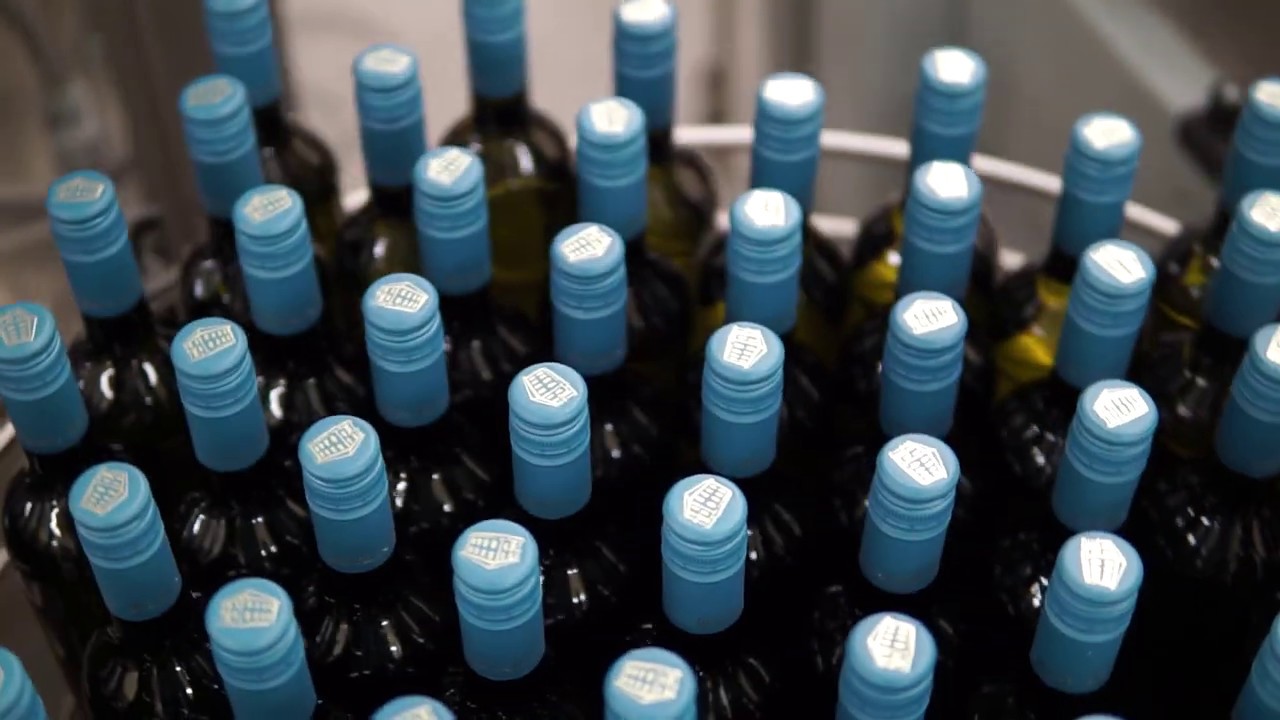 Abfüllung 2020 | Der neue Jahrgang in der Flasche!