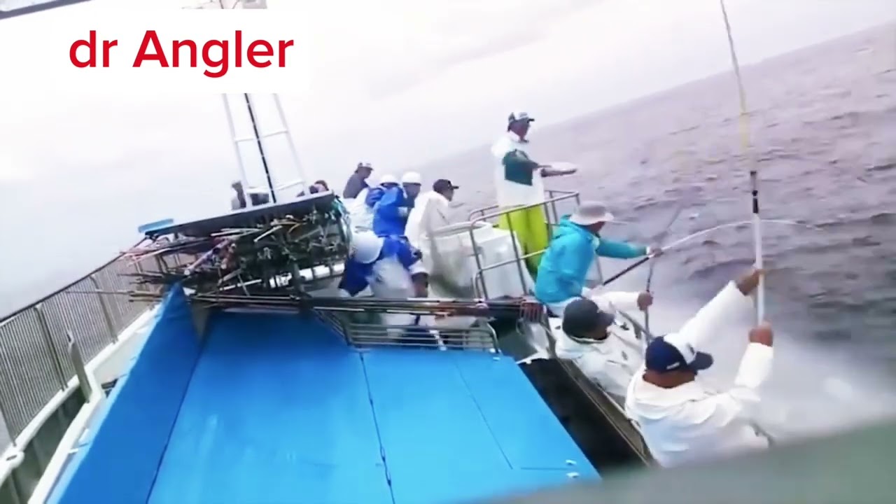 how the fisher man catching the baby tuna #fishing #gianttuna #fishingtuna