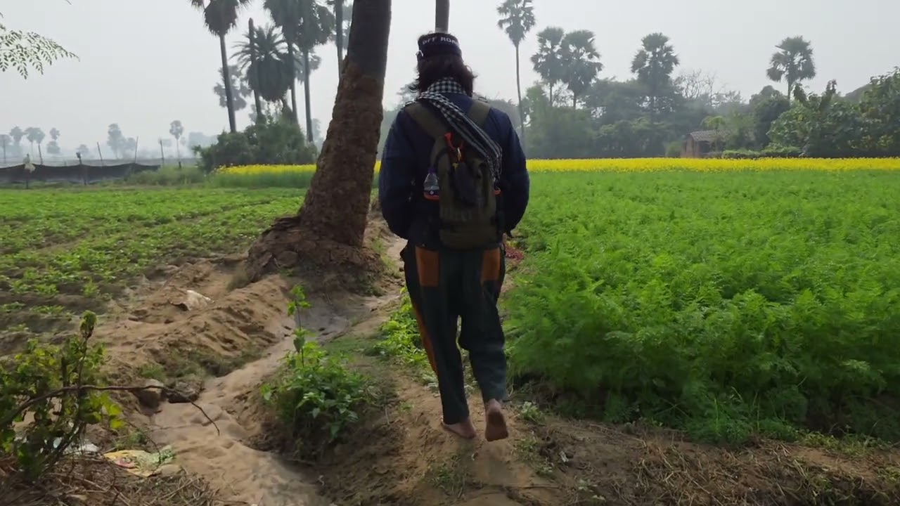 B&agrave;i h&aacute;t .Bu&ocirc;ng .Lời Minh &Yacute;