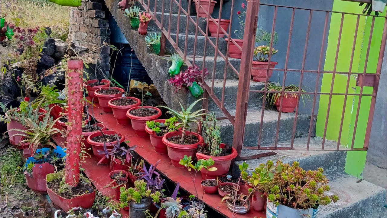 ybgardeningart is live!