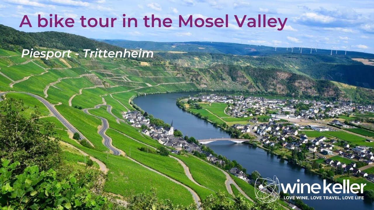 A Mosel ebike tour from Piesport to Trittenheim in Germany's Middle  Mosel wine region