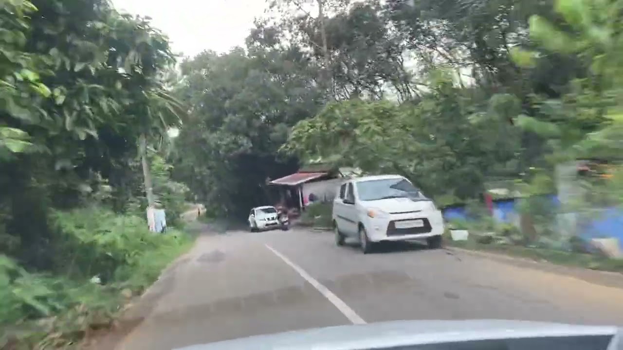 A calm village drive from Kappilikkunnu to Paika town, Kottayam.