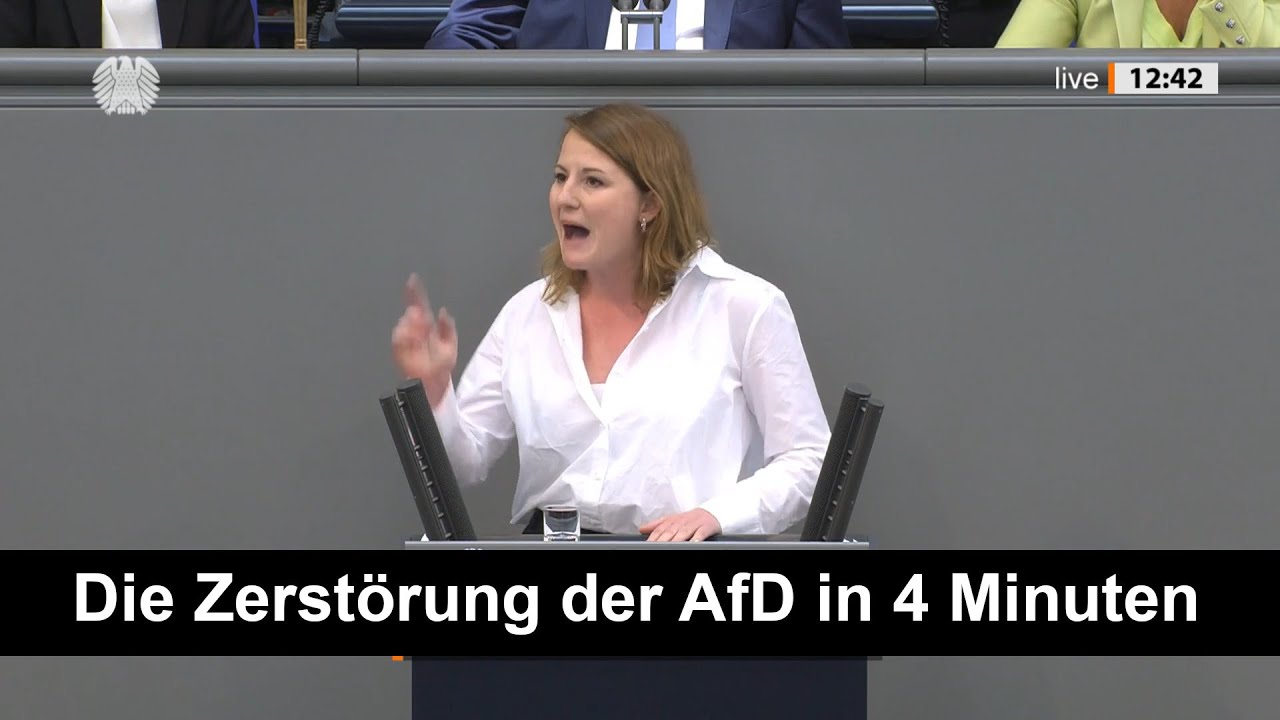 Die Zerst&ouml;rung der #NoAfD In 4 Minuten