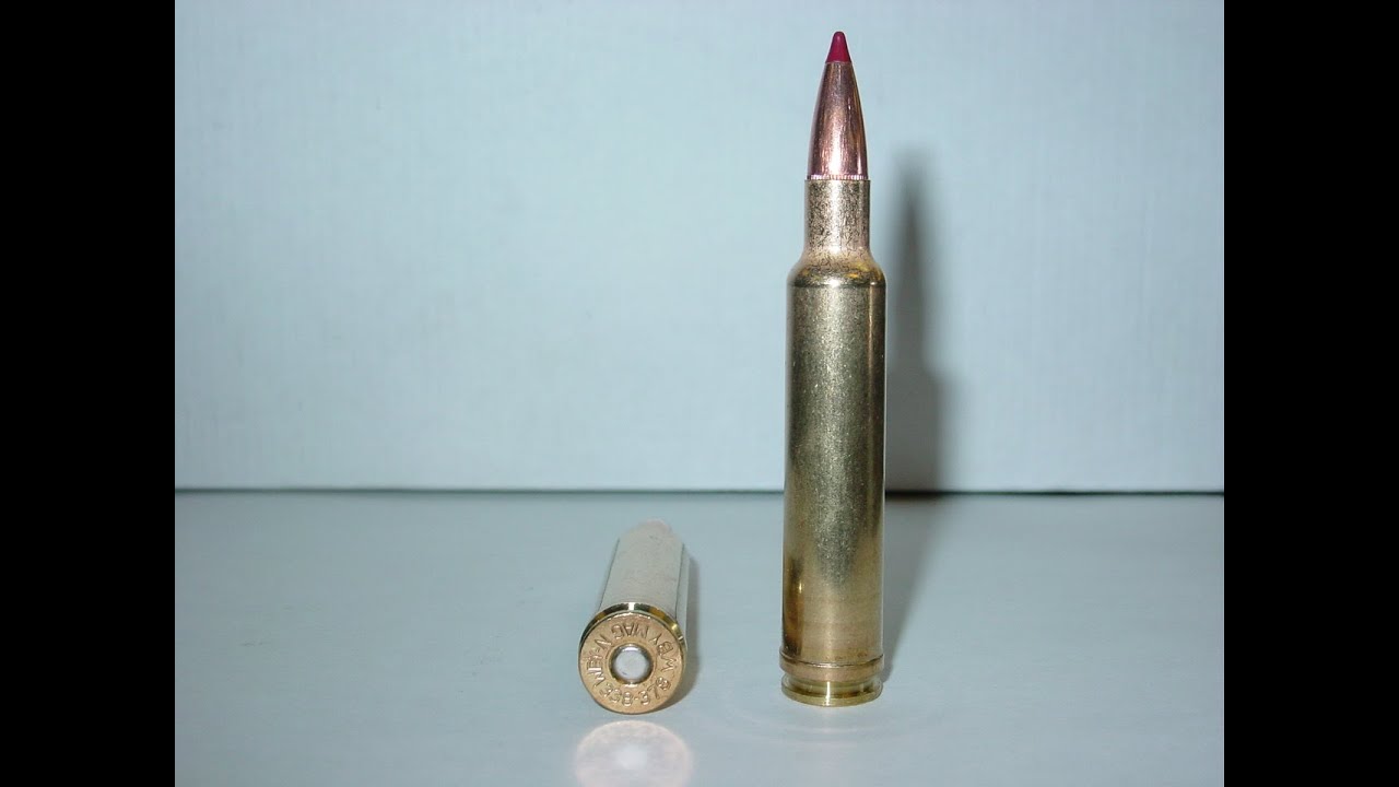 338-378 Weatherby Magnum: The King of 338 Power