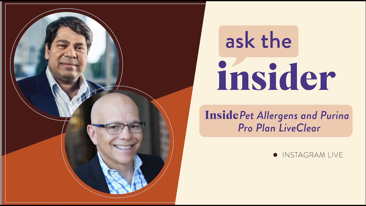 Ask the Insider—Inside pet allergens and Purina Pro Plan LiveClear🐈 | Allergy Insider