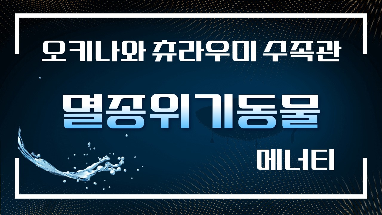 오키나와 츄라우미 수족관