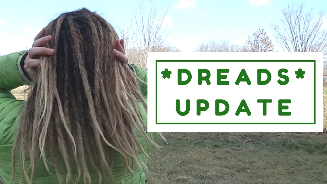 My DREADLOCK UPDATE | 3 Weeks Twist & Rip Method