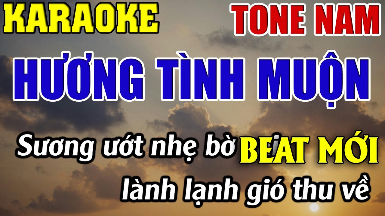 Hương Tình Muộn Karaoke Tone Nam Karaoke Ngọc Loan - Beat Mới