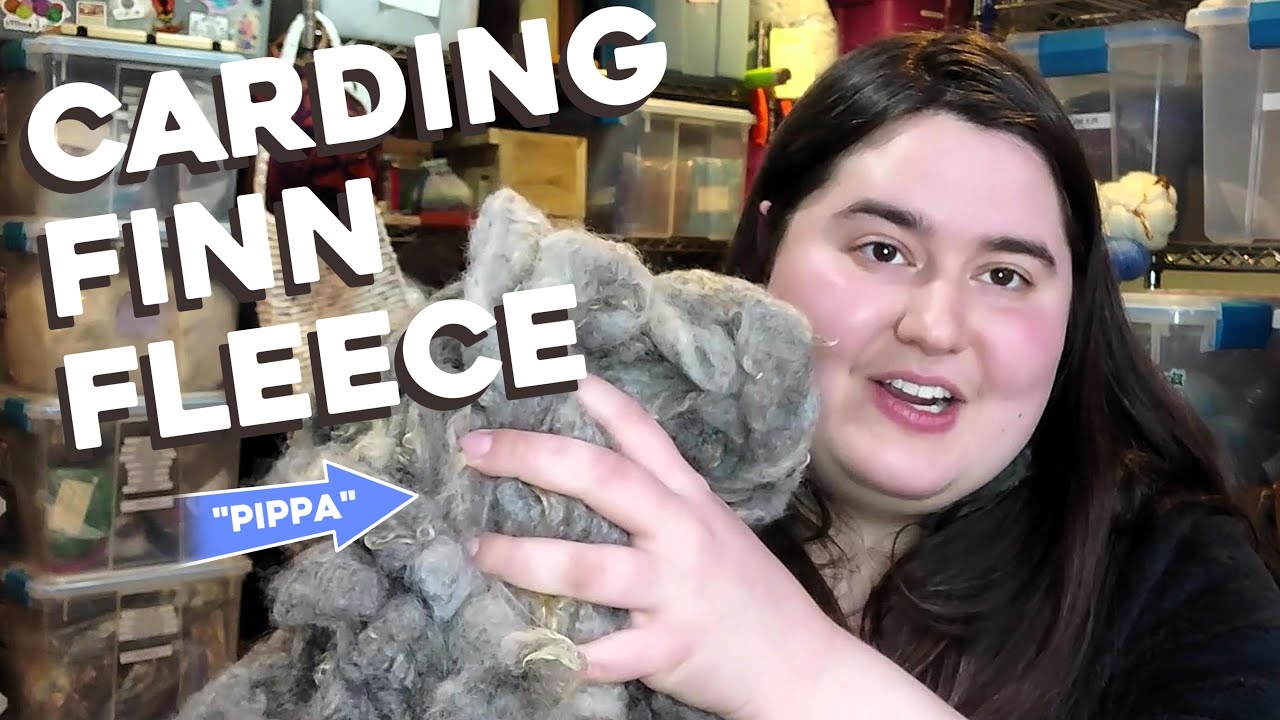 Carding Finnsheep Fleece - 