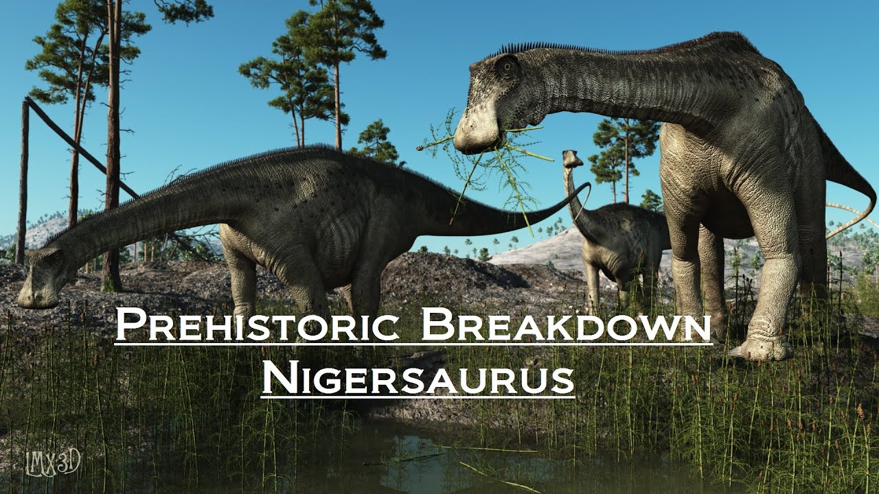 Prehistoric Breakdown: Nigersaurus