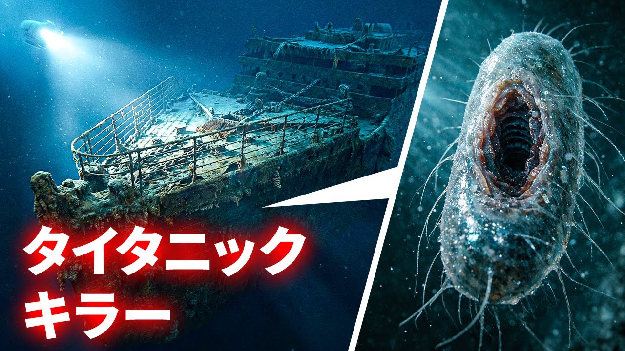 なぜタイタニックは崩壊しているのに、この古代の船はそうではないのか