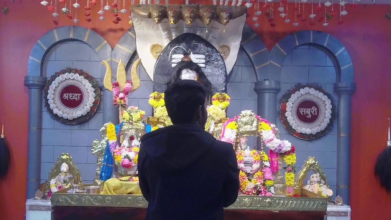 LIVE SAI Darshan