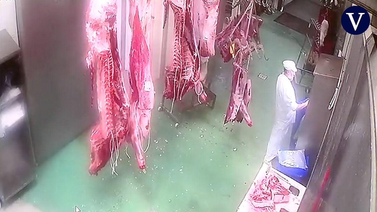 Instalar c&aacute;maras en los mataderos: la mayor&iacute;a de los ganaderos aplauden la medida