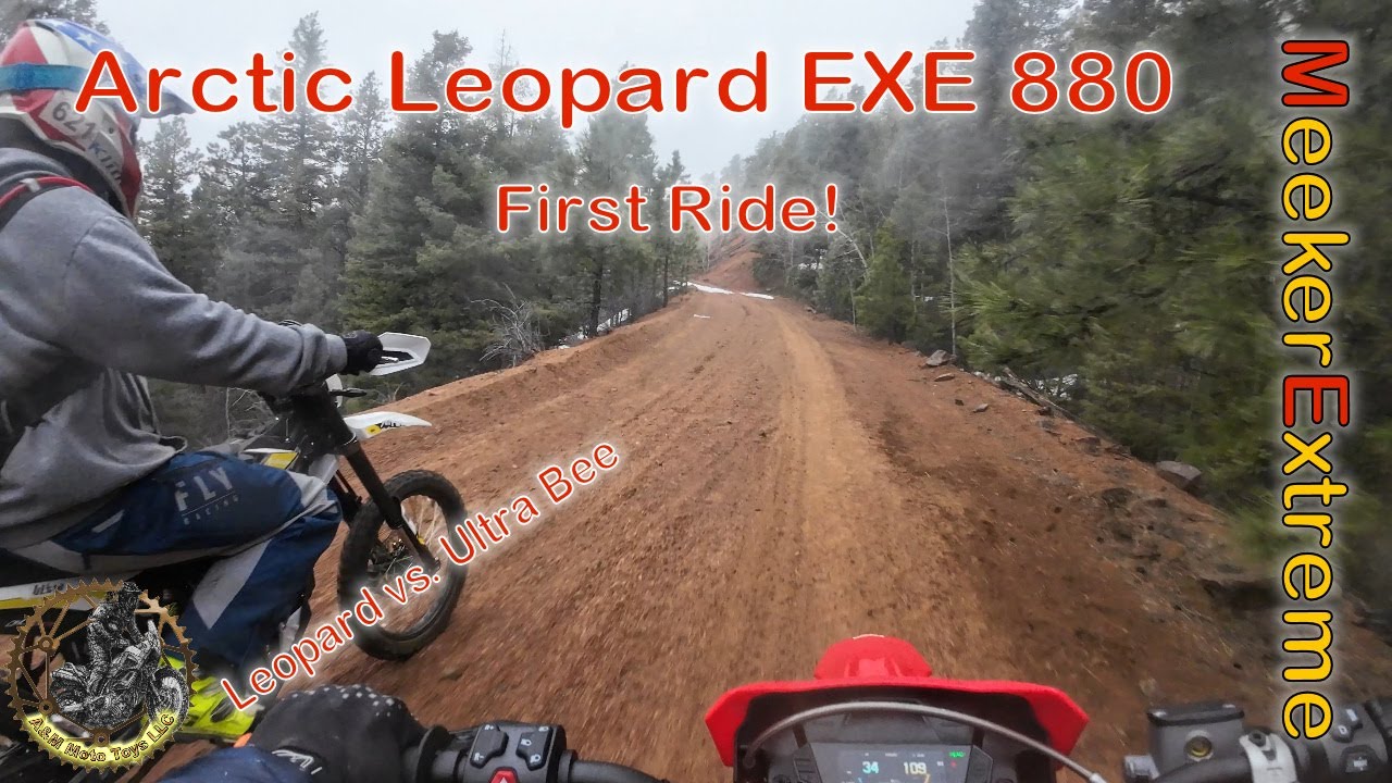 Arctic Leopard - Trying out the speed a little more!