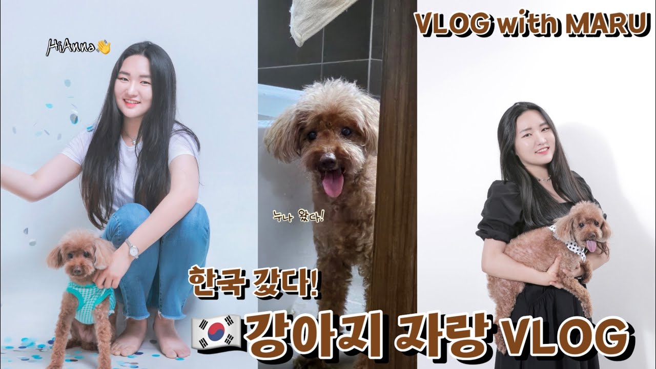 🇰🇷🐶KOREA VLOG | 일년만에 한국 간다! Visiting Korea after a year | 강아지 자랑 브이로그 PET VLOG | 예쁜 내새끼 여러분도 보세요