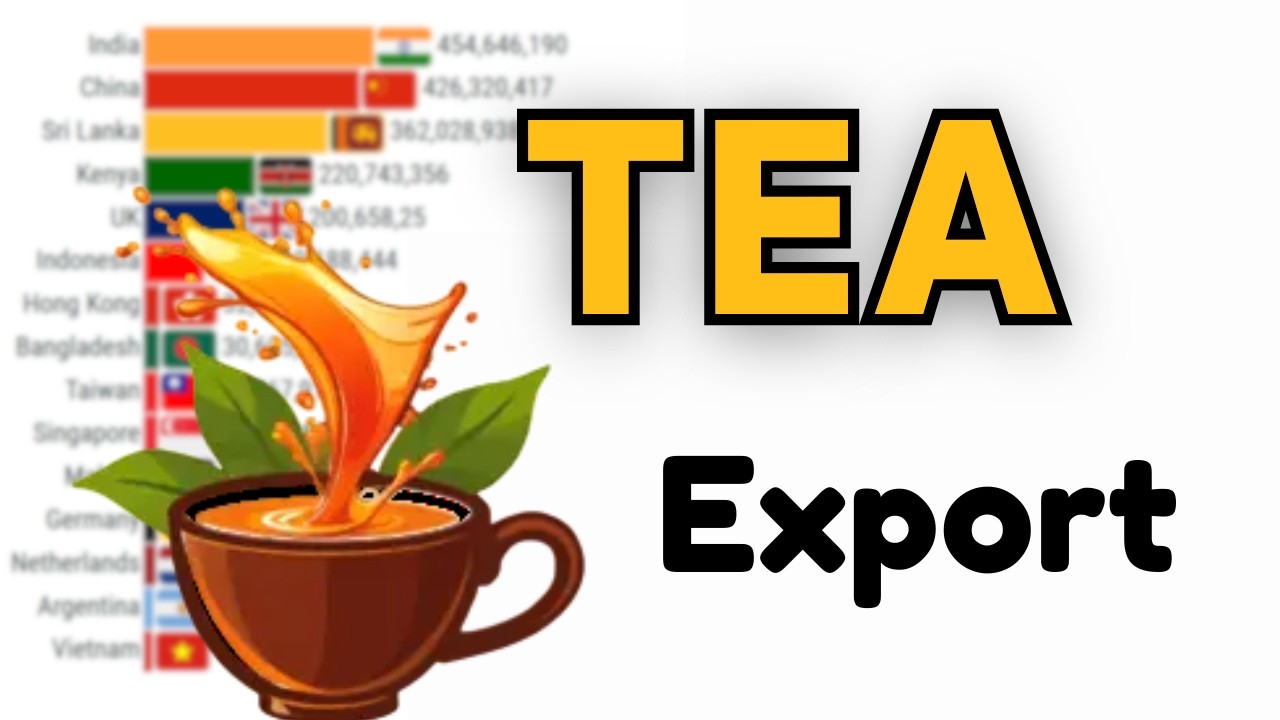 Top 15 Largest Global Tea Exporting Nations 1961 to 2026