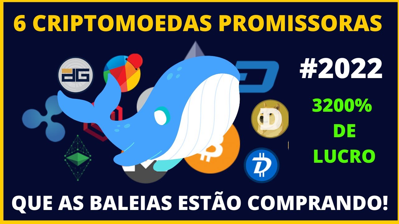6 CRIPTOMOEDAS PROMISSORAS 2022